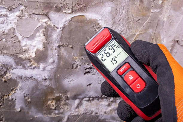 Mold Testing and Removal in Mayodan, NC