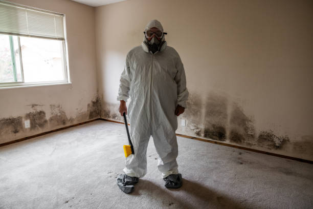 Best Mold Testing  in Mayodan, NC